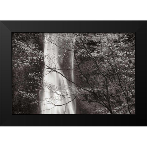 Double Falls II Black Modern Wood Framed Art Print by Audit, Lisa