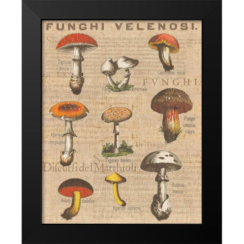Funghi Velenosi I Black Modern Wood Framed Art Print by Wild Apple Portfolio
