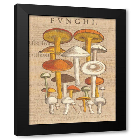 Funghi Velenosi II Black Modern Wood Framed Art Print by Wild Apple Portfolio