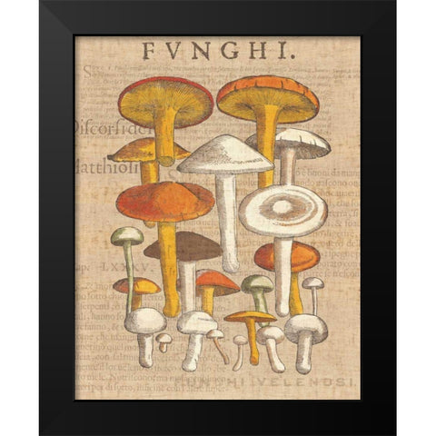 Funghi Velenosi II Black Modern Wood Framed Art Print by Wild Apple Portfolio