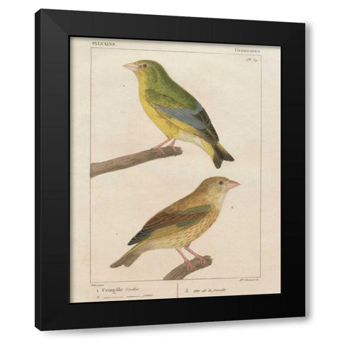 Sylvains I Black Modern Wood Framed Art Print by Wild Apple Portfolio