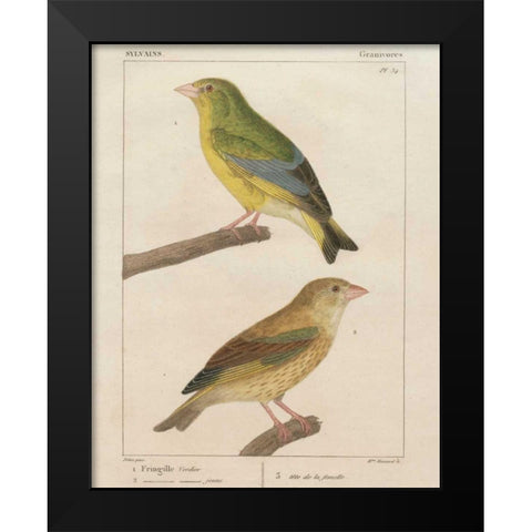 Sylvains I Black Modern Wood Framed Art Print by Wild Apple Portfolio