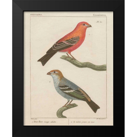 Sylvains II Black Modern Wood Framed Art Print by Wild Apple Portfolio