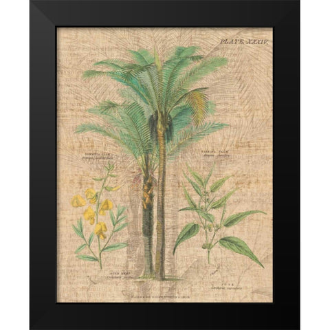 Palm Study II Black Modern Wood Framed Art Print by Wild Apple Portfolio