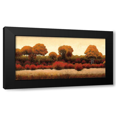 Autumn Forest III Black Modern Wood Framed Art Print by Wiens, James