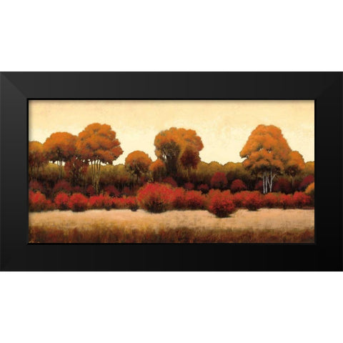 Autumn Forest III Black Modern Wood Framed Art Print by Wiens, James