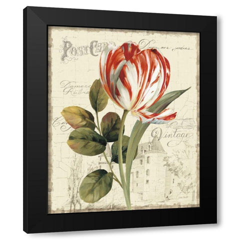 Garden View II - Red Tulip Black Modern Wood Framed Art Print by Audit, Lisa