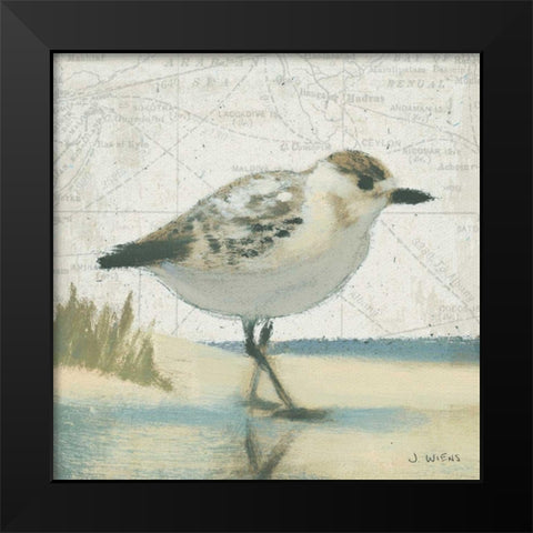 Beach Bird I Black Modern Wood Framed Art Print by Wiens, James