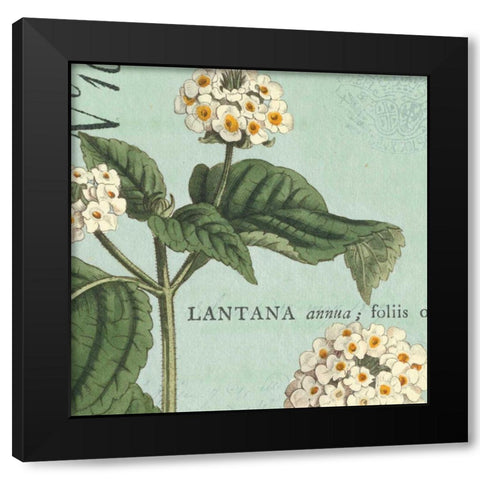 Botanique Bleu I Black Modern Wood Framed Art Print with Double Matting by Wild Apple Portfolio