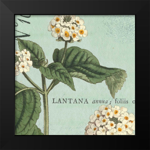 Botanique Bleu I Black Modern Wood Framed Art Print by Wild Apple Portfolio