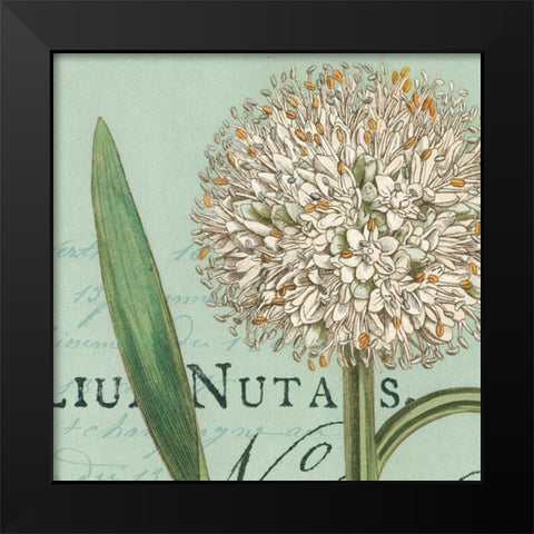 Botanique Bleu II Black Modern Wood Framed Art Print by Wild Apple Portfolio