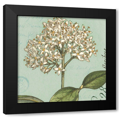 Botanique Bleu IV Black Modern Wood Framed Art Print by Wild Apple Portfolio