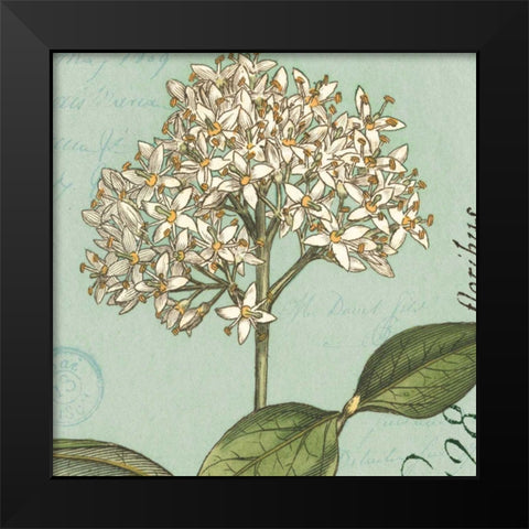 Botanique Bleu IV Black Modern Wood Framed Art Print by Wild Apple Portfolio