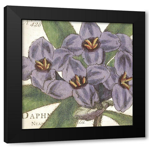 Purple Floral Black Modern Wood Framed Art Print with Double Matting by Wild Apple Portfolio