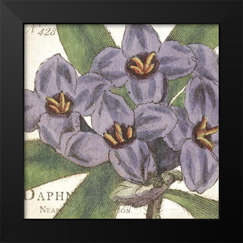 Purple Floral Black Modern Wood Framed Art Print by Wild Apple Portfolio