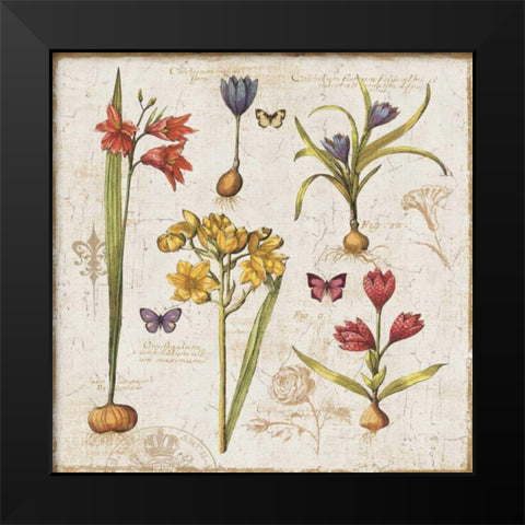Histoire Naturelle VI Black Modern Wood Framed Art Print by ERR, Pela