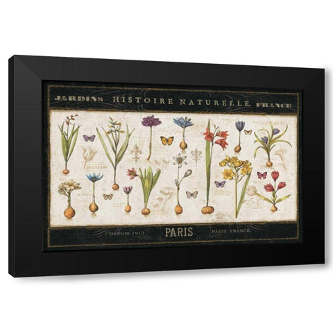Histoire Naturelle I Black Modern Wood Framed Art Print with Double Matting by ERR, Pela