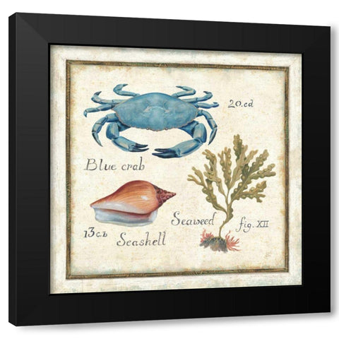 Oceanography IV Black Modern Wood Framed Art Print with Double Matting by Brissonnet, Daphne