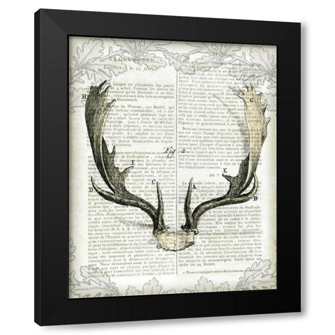 Regal Antlers on Newsprint II Black Modern Wood Framed Art Print by Schlabach, Sue