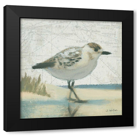 Beach Bird I Black Modern Wood Framed Art Print by Wiens, James