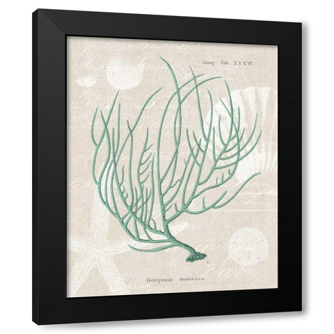 Gorgonia Miniacea on Linen Sea Foam Black Modern Wood Framed Art Print by Wild Apple Portfolio