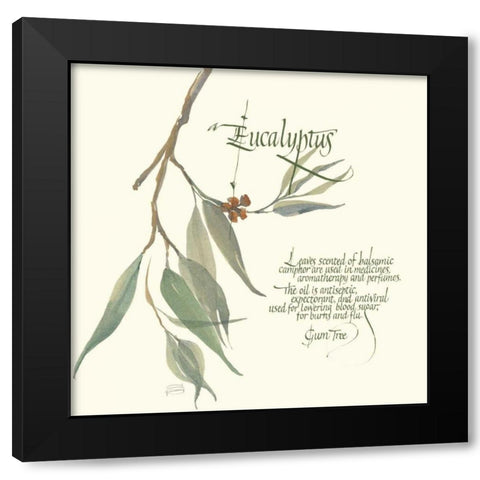 Eucalyptus Black Modern Wood Framed Art Print by Paschke, Chris