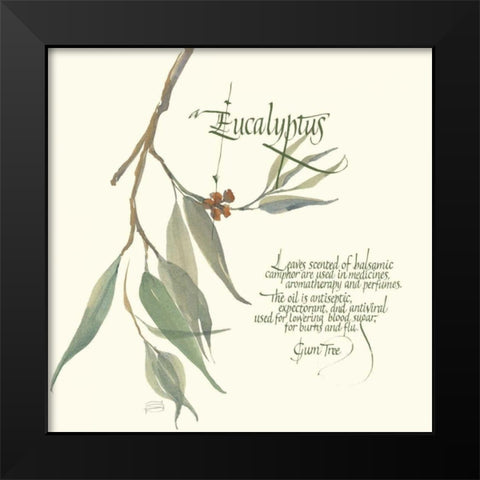 Eucalyptus Black Modern Wood Framed Art Print by Paschke, Chris