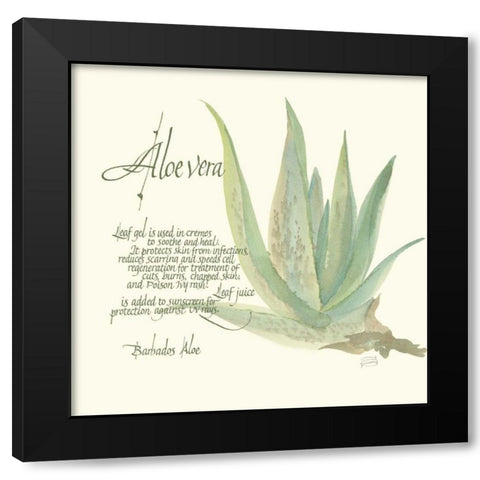 Aloe Vera Black Modern Wood Framed Art Print with Double Matting by Paschke, Chris