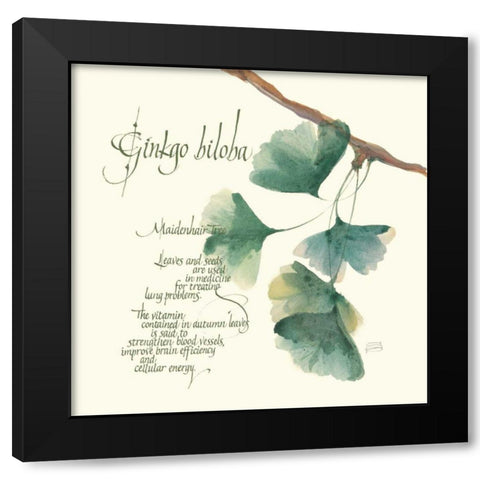 Ginkgo Biloba Black Modern Wood Framed Art Print by Paschke, Chris