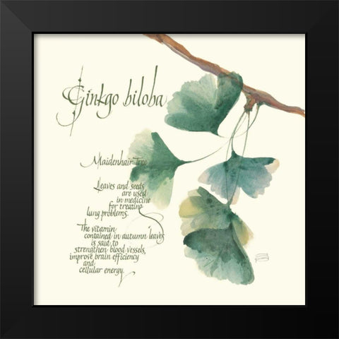 Ginkgo Biloba Black Modern Wood Framed Art Print by Paschke, Chris