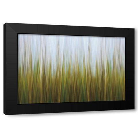 Sea Grass Canvas Black Modern Wood Framed Art Print by Gendreau, Katherine