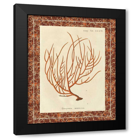 Gorgonia Miniacea Marble Black Modern Wood Framed Art Print by Wild Apple Portfolio