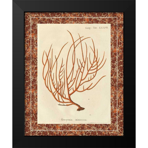 Gorgonia Miniacea Marble Black Modern Wood Framed Art Print by Wild Apple Portfolio