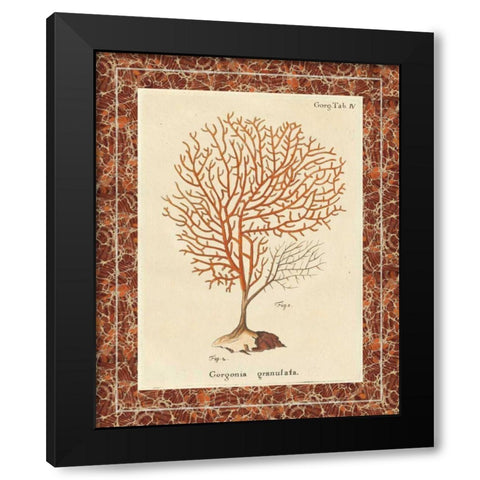 Gorgonia Granulata Marble Black Modern Wood Framed Art Print by Wild Apple Portfolio