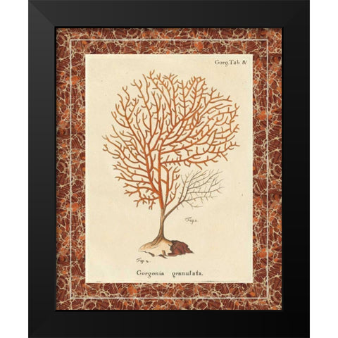 Gorgonia Granulata Marble Black Modern Wood Framed Art Print by Wild Apple Portfolio