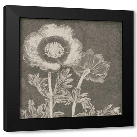 Botanical Beauty Chalk Square II Black Modern Wood Framed Art Print by Wild Apple Portfolio
