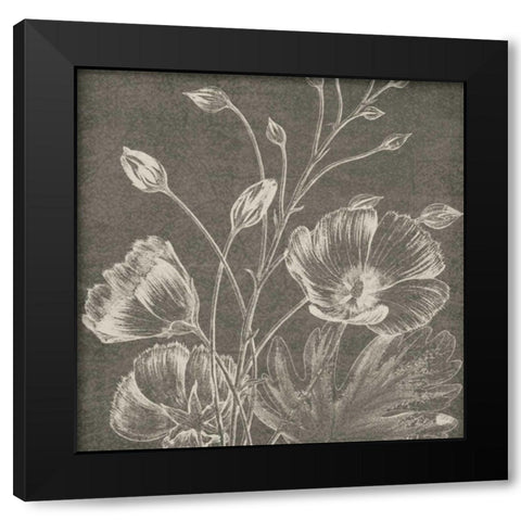 Botanical Beauty Chalk Square IX Black Modern Wood Framed Art Print with Double Matting by Wild Apple Portfolio