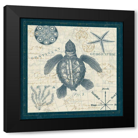 Ocean Life VI Black Modern Wood Framed Art Print with Double Matting by ERR, Pela