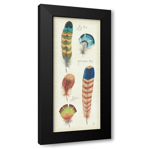 Ornithology IV Panel Black Modern Wood Framed Art Print by Brissonnet, Daphne