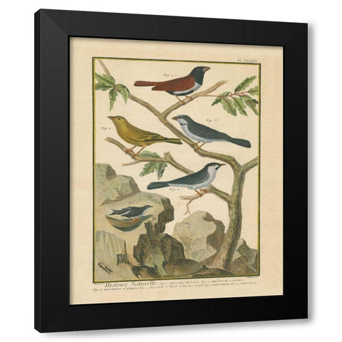 Bird Drawing IV Black Modern Wood Framed Art Print by Wild Apple Portfolio