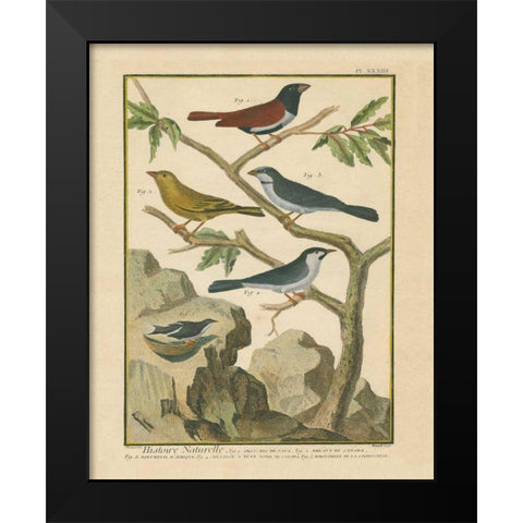 Bird Drawing IV Black Modern Wood Framed Art Print by Wild Apple Portfolio