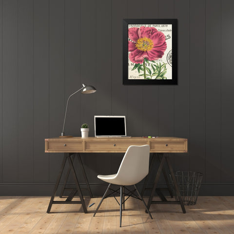 Peony Botany Black Modern Wood Framed Art Print by Schlabach, Sue