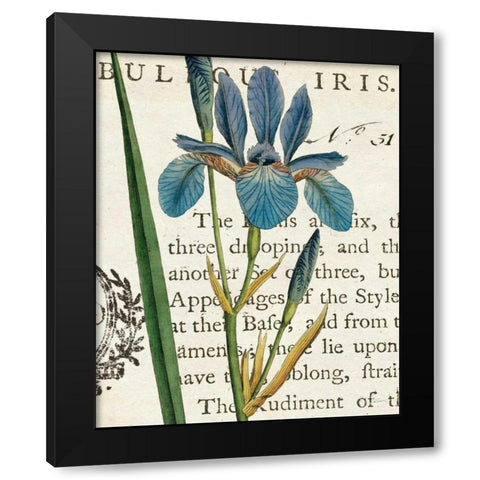 Iris Letter Black Modern Wood Framed Art Print with Double Matting by Schlabach, Sue