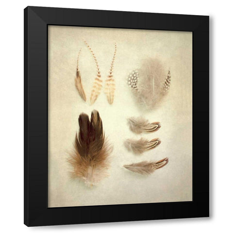 Feathers II Black Modern Wood Framed Art Print with Double Matting by Urquhart, Elizabeth