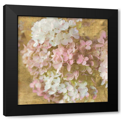 Gilded Hydrangea II Black Modern Wood Framed Art Print with Double Matting by Schlabach, Sue