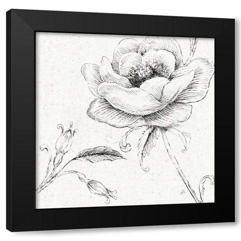 Blossom Sketches II Black Modern Wood Framed Art Print with Double Matting by Brissonnet, Daphne