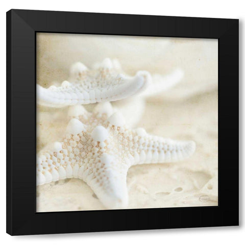 Seashore Stars Black Modern Wood Framed Art Print by Studio, Brookview