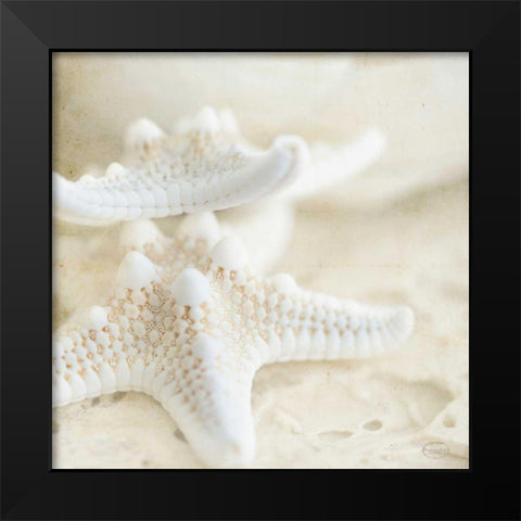 Seashore Stars Black Modern Wood Framed Art Print by Studio, Brookview