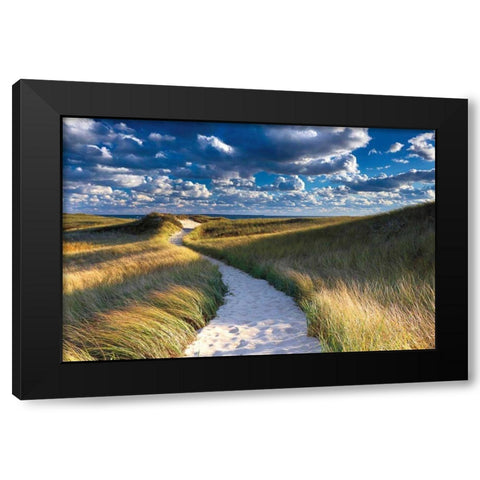 Philbin Beach Path Black Modern Wood Framed Art Print with Double Matting by Gendreau, Katherine