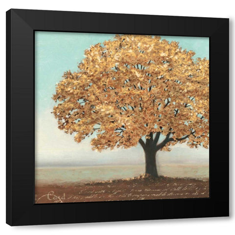 Gold Reflections I Black Modern Wood Framed Art Print by Wiens, James